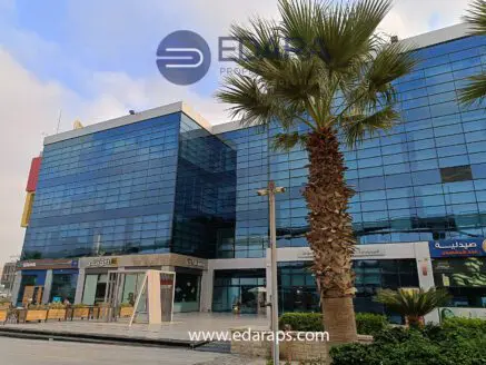 Modern commercial building with large glass windows and palm trees in front, located in Cairo.