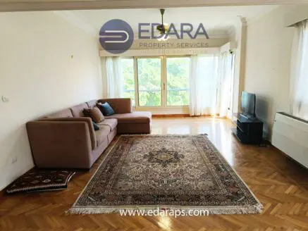 Spacious living room featuring a brown sofa, a television, and a decorative area rug.