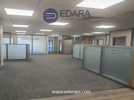 Interior view of an office space with glass partitions and carpeted flooring at Edara Property Services.