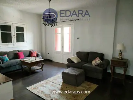 Living room featuring a gray sofa, a wooden coffee table, and a decorative rug on the floor.