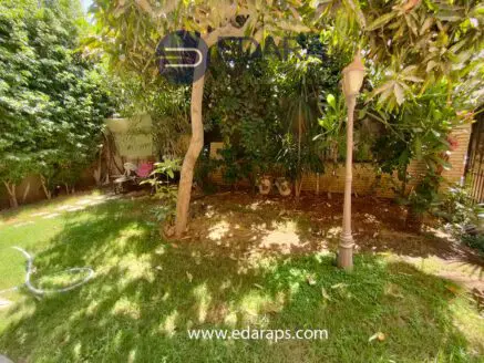 A garden area featuring a tree, grass, and a lamp post in a residential setting.