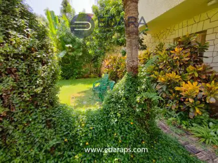 Lush garden area featuring green foliage and outdoor chairs surrounded by plants.