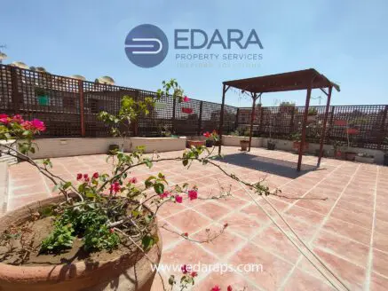 Rooftop garden featuring a wooden pergola and bougainvillea plants in pots on tiled flooring.