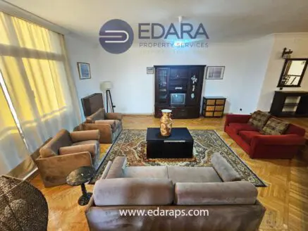 Living room featuring a set of sofas, a coffee table, and a decorative vase on a patterned rug.