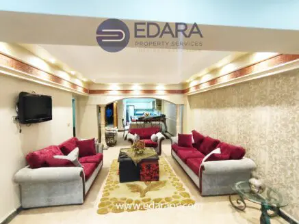 Living room featuring red and gray sofas arranged around a decorative rug with a floral pattern.